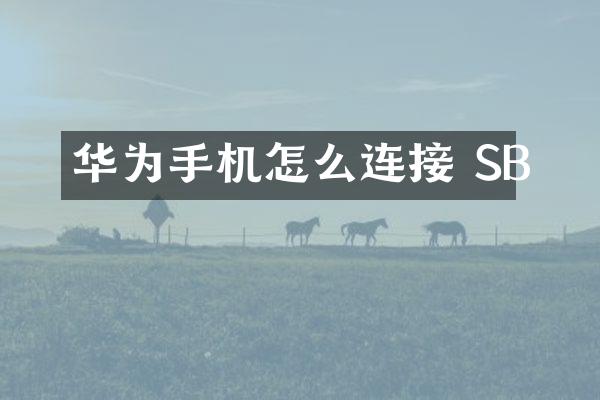 华为手机怎么连接 SB