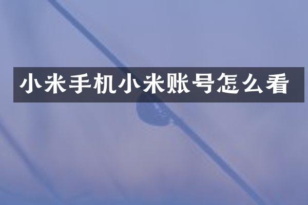 小米手机小米账号怎么看