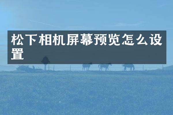松下相机屏幕预览怎么设置