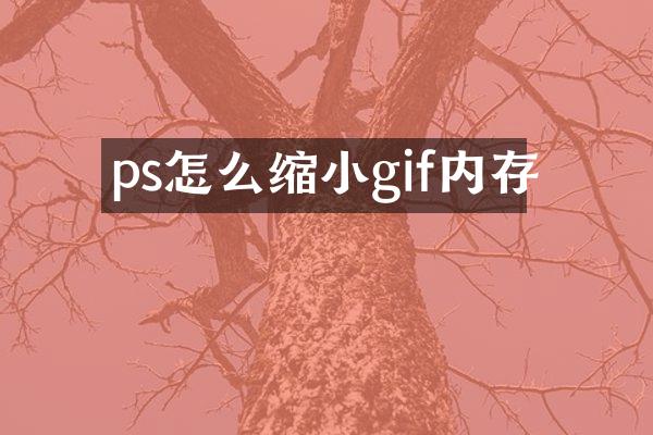 ps怎么缩小gif内存