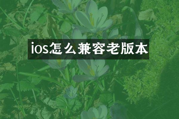 ios怎么兼容老版本