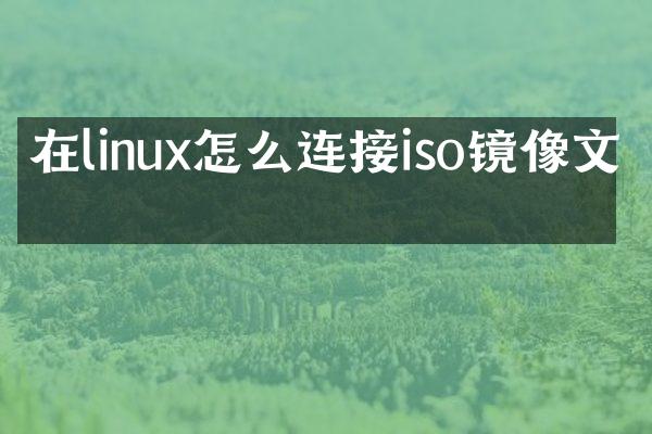 在linux怎么连接iso镜像文件
