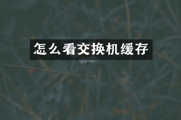 怎么看交换机缓存