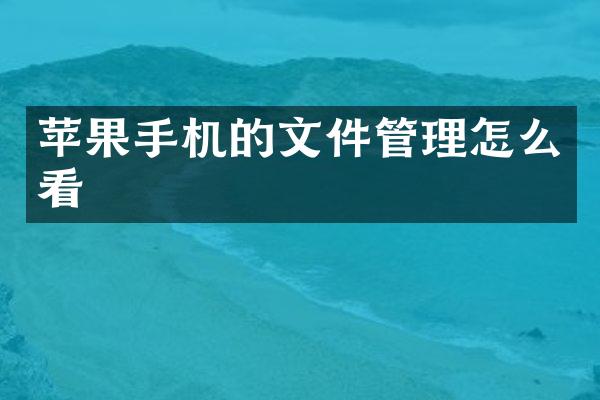 苹果手机的文件管理怎么看