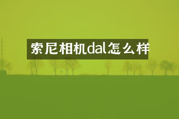 索尼相机dal怎么样
