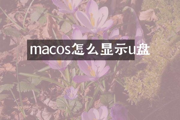 macos怎么显示u盘