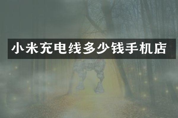 小米充电线多少钱手机店