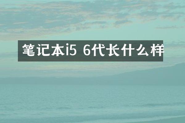 笔记本i5 6代长什么样
