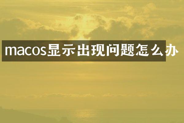 macos显示出现问题怎么办