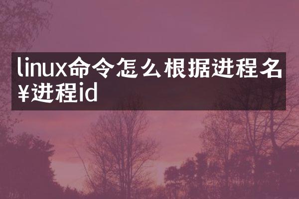 linux命令怎么根据进程名查进程id