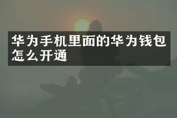 华为手机里面的华为钱包怎么开通