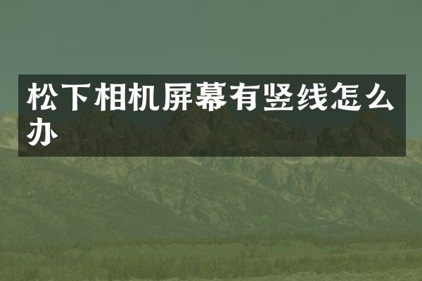 松下相机屏幕有竖线怎么办