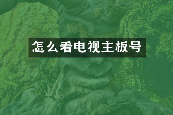 怎么看电视主板号