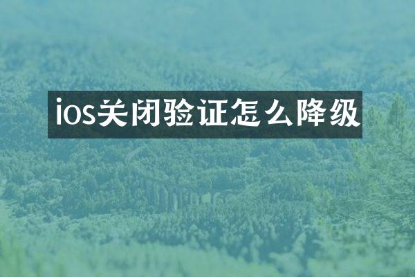 ios关闭验证怎么降级