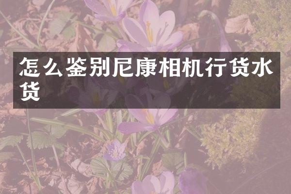 怎么鉴别尼康相机行货水货