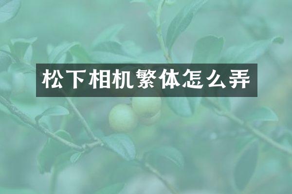 松下相机繁体怎么弄