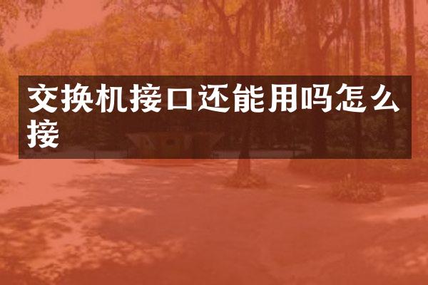 交换机接口还能用吗怎么接