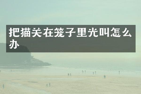 把猫关在笼子里光叫怎么办