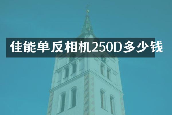 佳能单反相机250D多少钱