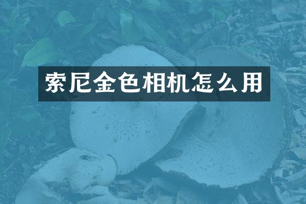 索尼金色相机怎么用