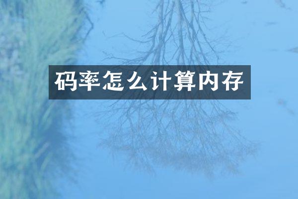 码率怎么计算内存