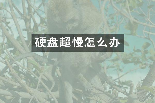硬盘超慢怎么办