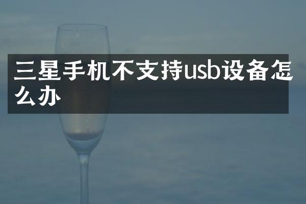 三星手机不支持usb设备怎么办