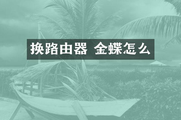 换路由器 金蝶怎么