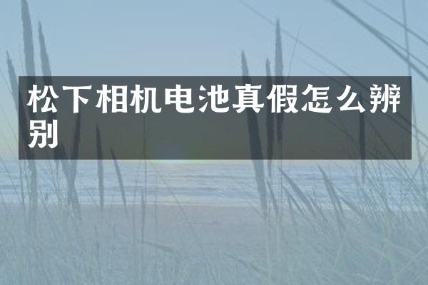 松下相机电池真假怎么辨别