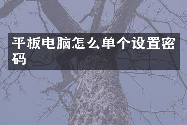 平板电脑怎么单个设置密码