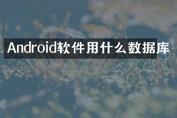 Android软件用什么数据库