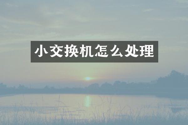 小交换机怎么处理