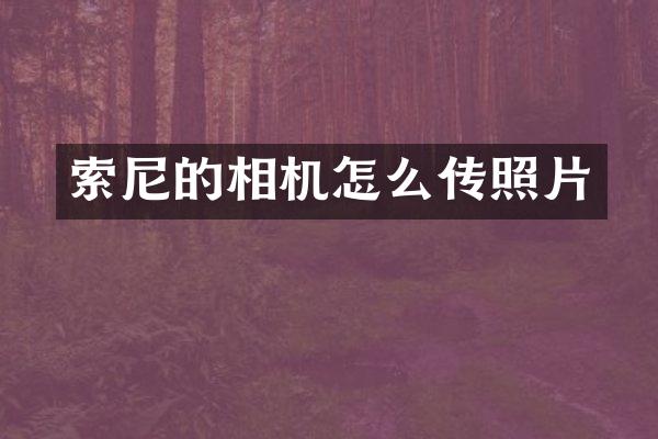 索尼的相机怎么传照片