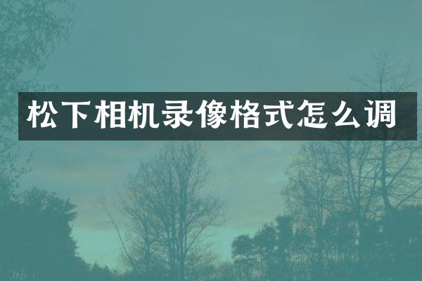 松下相机录像格式怎么调