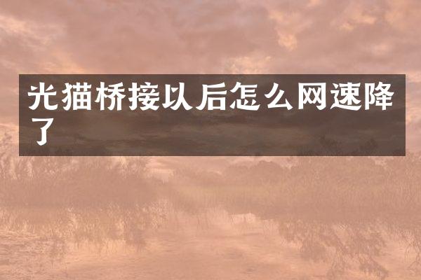 光猫桥接以后怎么网速降了