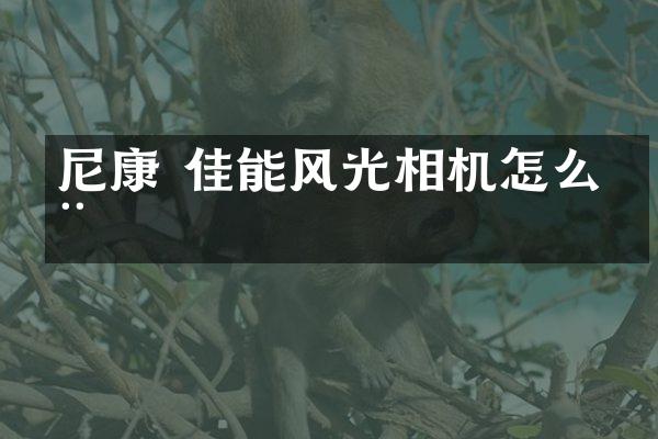 尼康 佳能风光相机怎么用