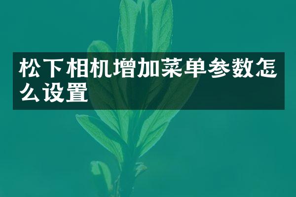 松下相机增加菜单参数怎么设置