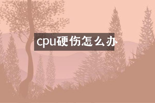 cpu硬伤怎么办