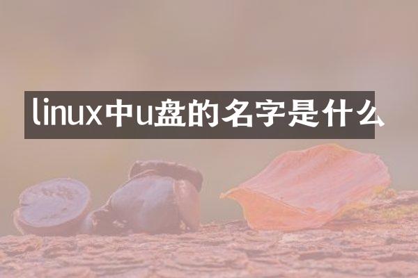 linux中u盘的名字是什么