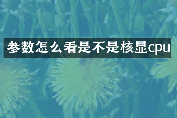 参数怎么看是不是核显cpu