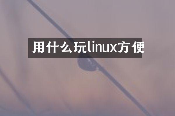 用什么玩linux方便