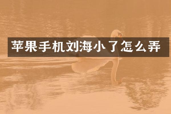 苹果手机刘海小了怎么弄
