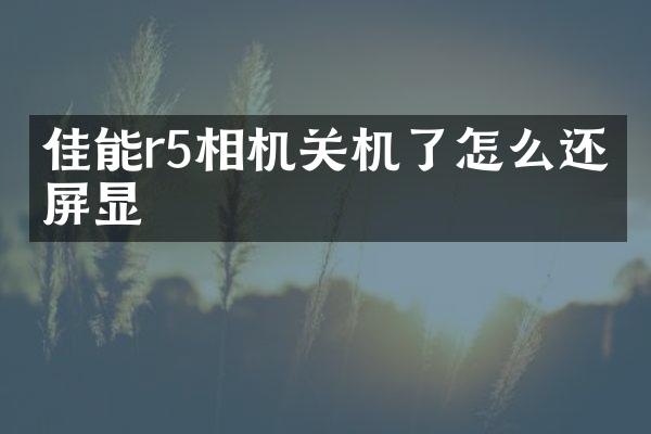 佳能r5相机关机了怎么还有屏显