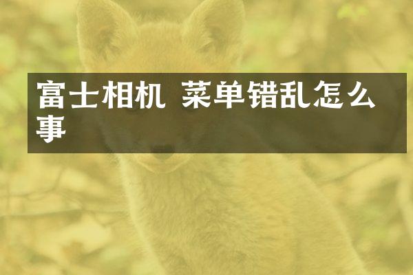 富士相机 菜单错乱怎么回事