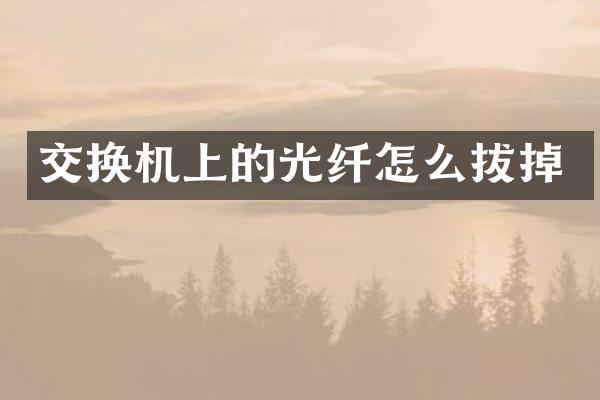 交换机上的光纤怎么拔掉