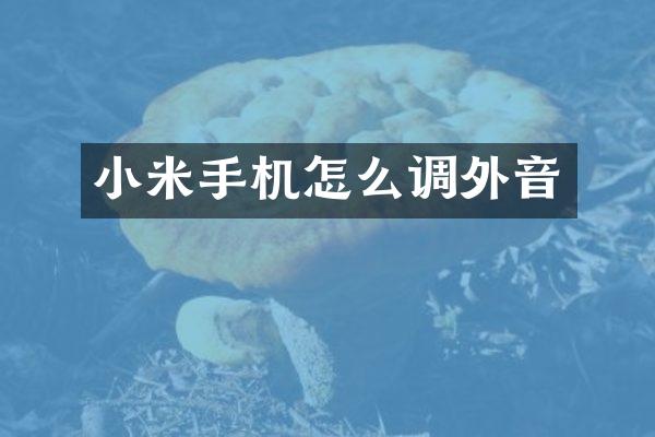 小米手机怎么调外音