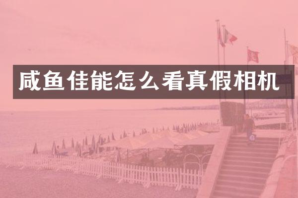 咸鱼佳能怎么看真假相机