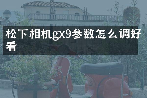 松下相机gx9参数怎么调好看