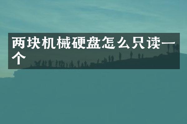 两块机械硬盘怎么只读一个