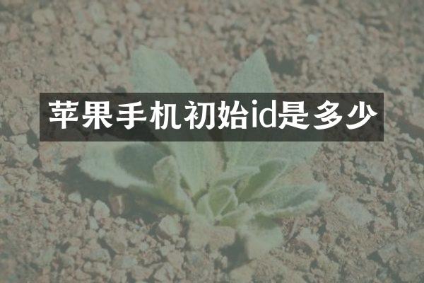 苹果手机初始id是多少